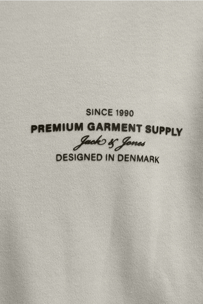 JPRBLACHAD BRANDING SS CREW NECK TE 12259357 SILVER LINING